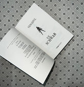 vengeful the villains series book 2 by v e schwab